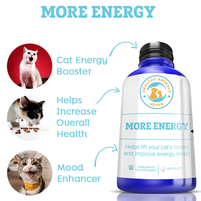 More Energy - Cats Triple Pack- Save 30%