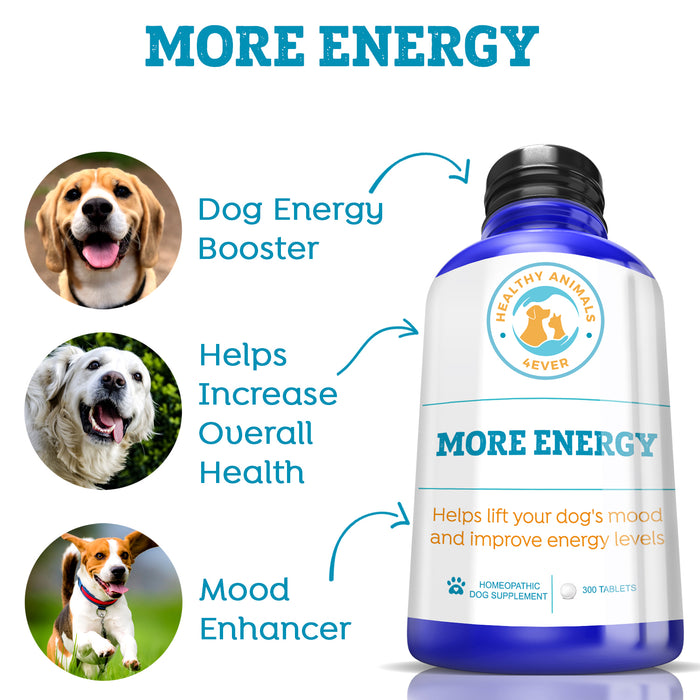 More Energy - Dogs