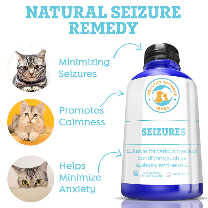 Seizures - Cats Six Pack- Save 50%