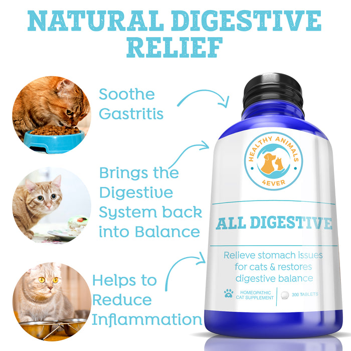 All Digestive - Cats Six Pack- Save 50%