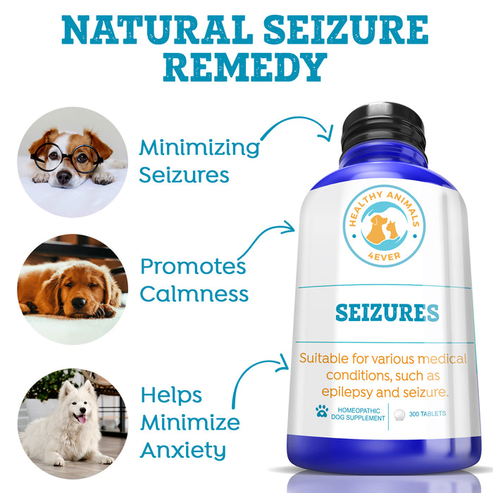 Seizures - Dogs