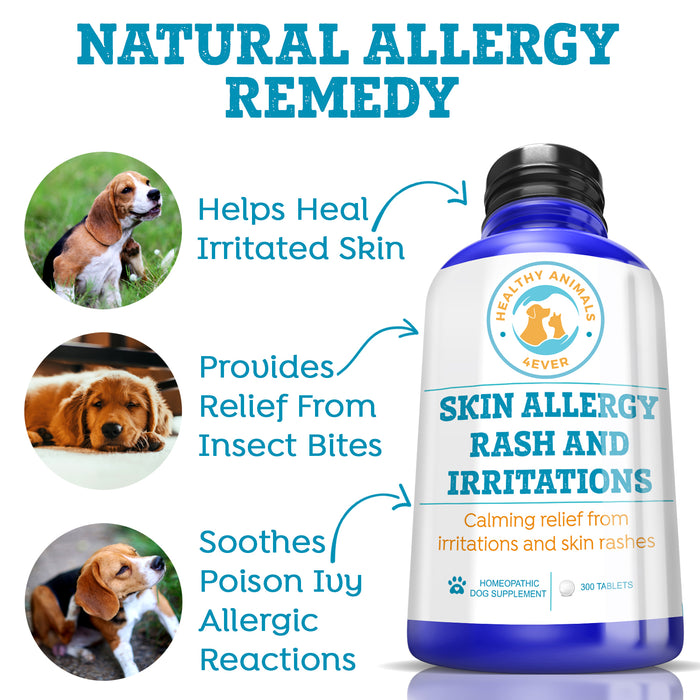 Skin Allergy Rash and Irritations - Dogs