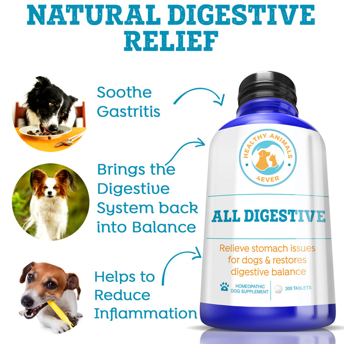 All Digestive - Dogs