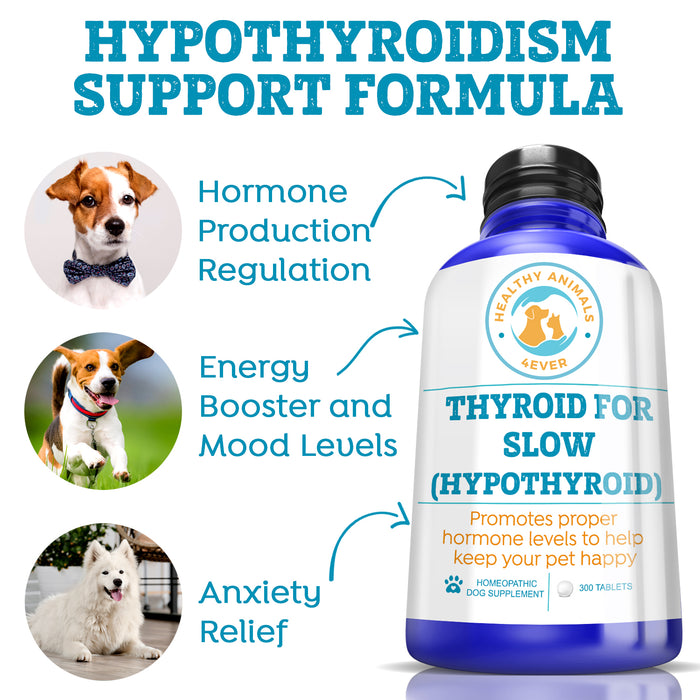 Natural Hypothyroidism Support Formula for Dogs, 300 Pellets, 30-Day Supply