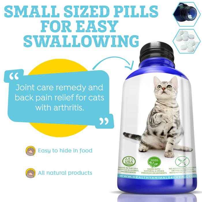 Hip, Joint and Back Pain Relief - Cats