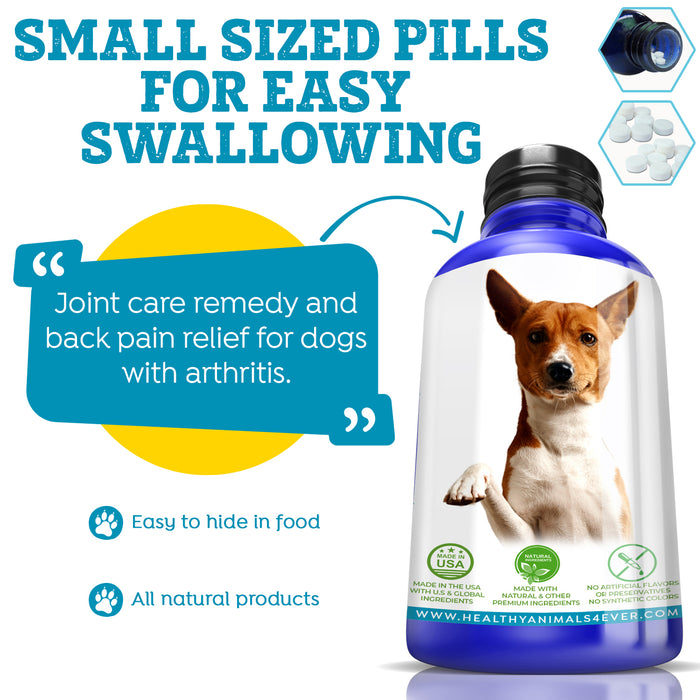 gabapentin for pain relief in dogs gabapentin for pain relief in dogs